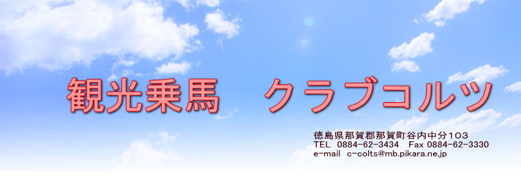 徳島県那賀郡那賀町谷内中分１０３ TEL  0884-62-3434   Fax 0884-62-3330 e-mail  c-colts@mb.pikara.ne.jp   